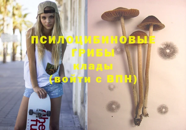 спайс Рославль