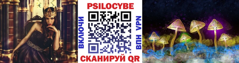 продажа наркотиков  Тетюши  Галлюциногенные грибы прущие грибы 